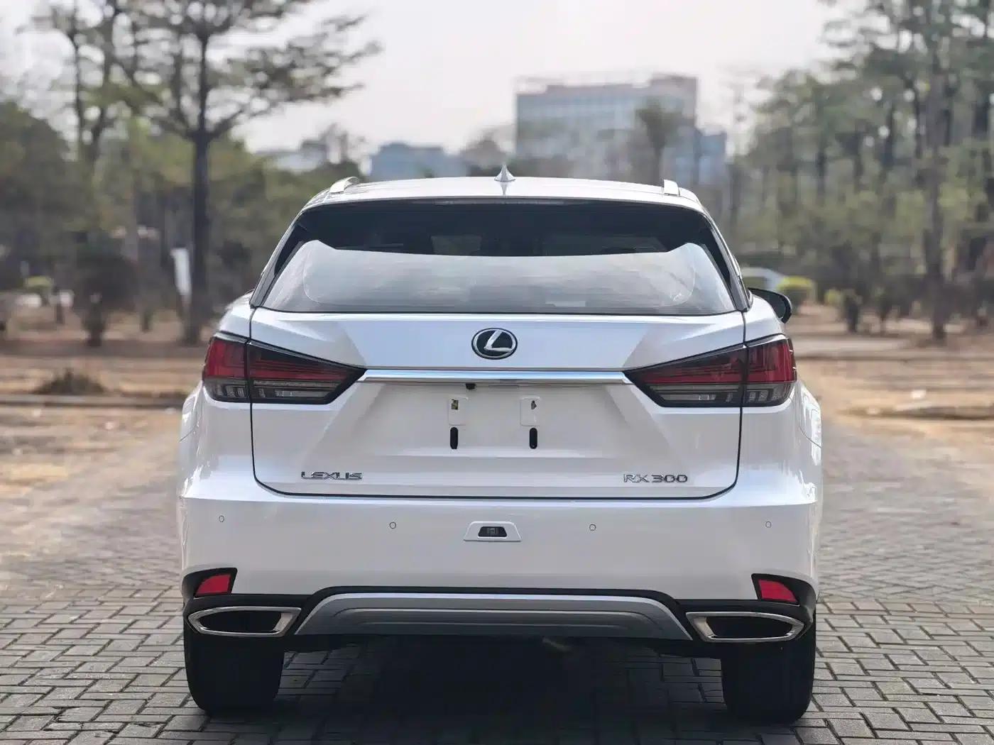 Lexus RX 2020 300 2WD Comfort Edition (China VI Emission Standard) — миниатюра 5