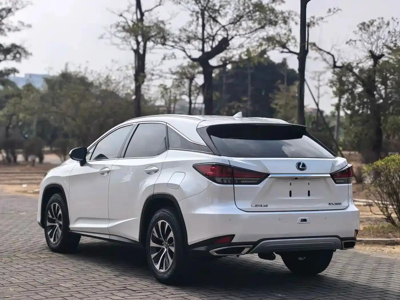 Lexus RX 2020 300 2WD Comfort Edition (China VI Emission Standard) — миниатюра 6