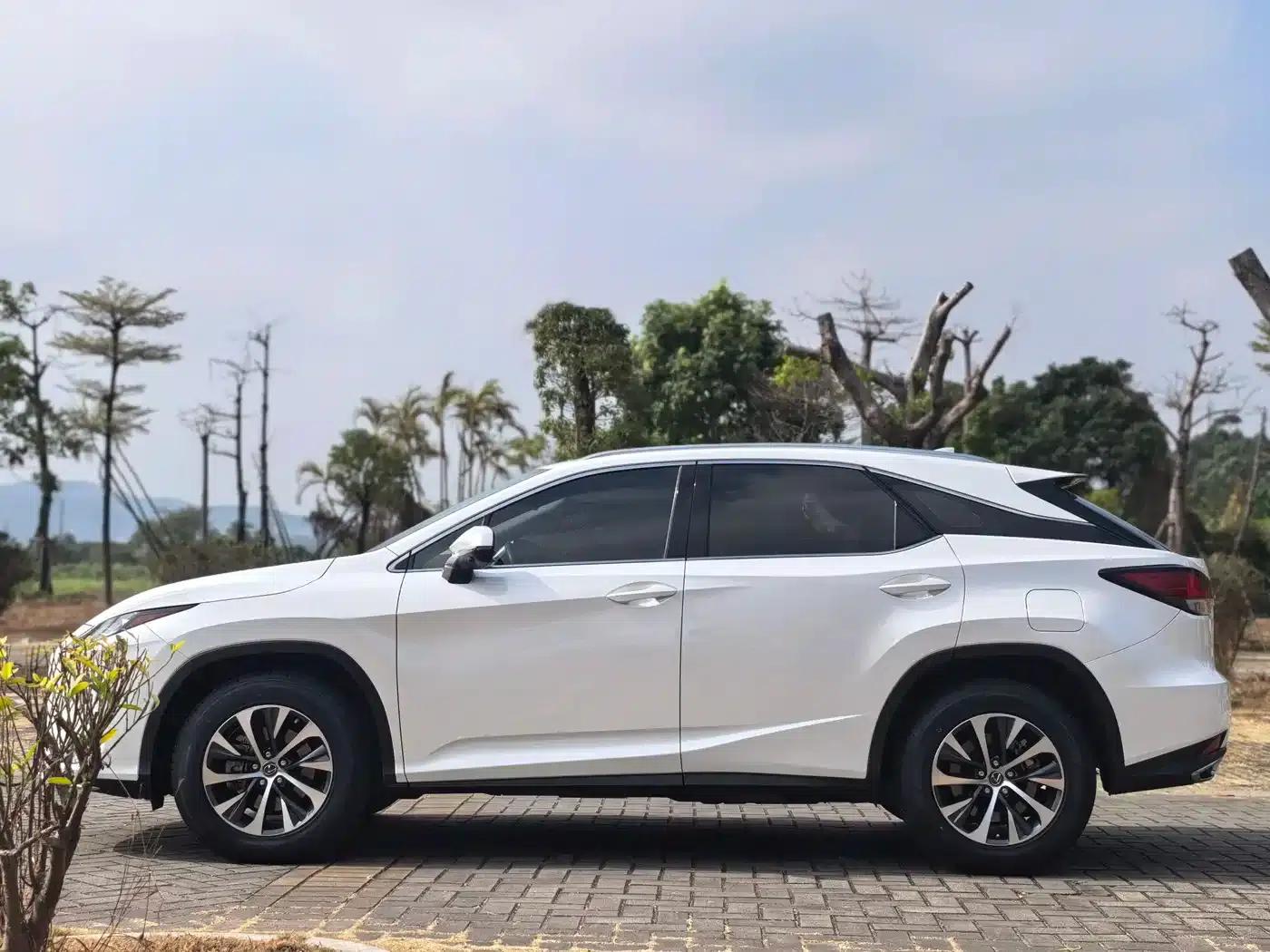 Lexus RX 2020 300 2WD Comfort Edition (China VI Emission Standard) — миниатюра 8