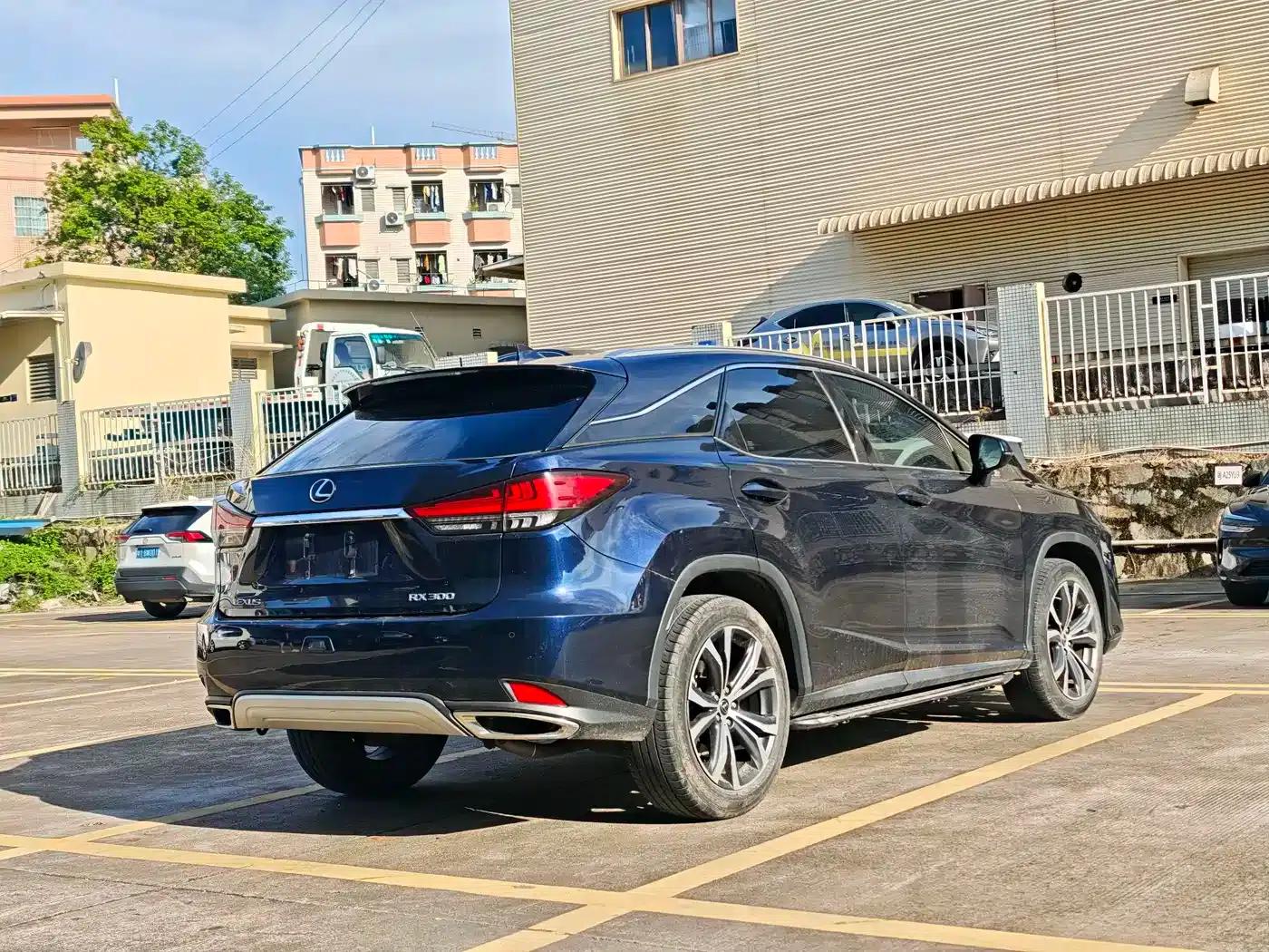Lexus RX 2020 300 AWD Elegant Edition (China VI Emission Standard) — миниатюра 6