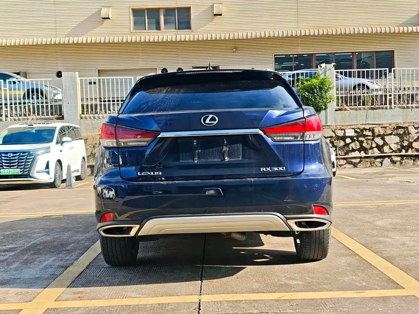 Lexus RX 2020 300 AWD Elegant Edition (China VI Emission Standard) — миниатюра 7