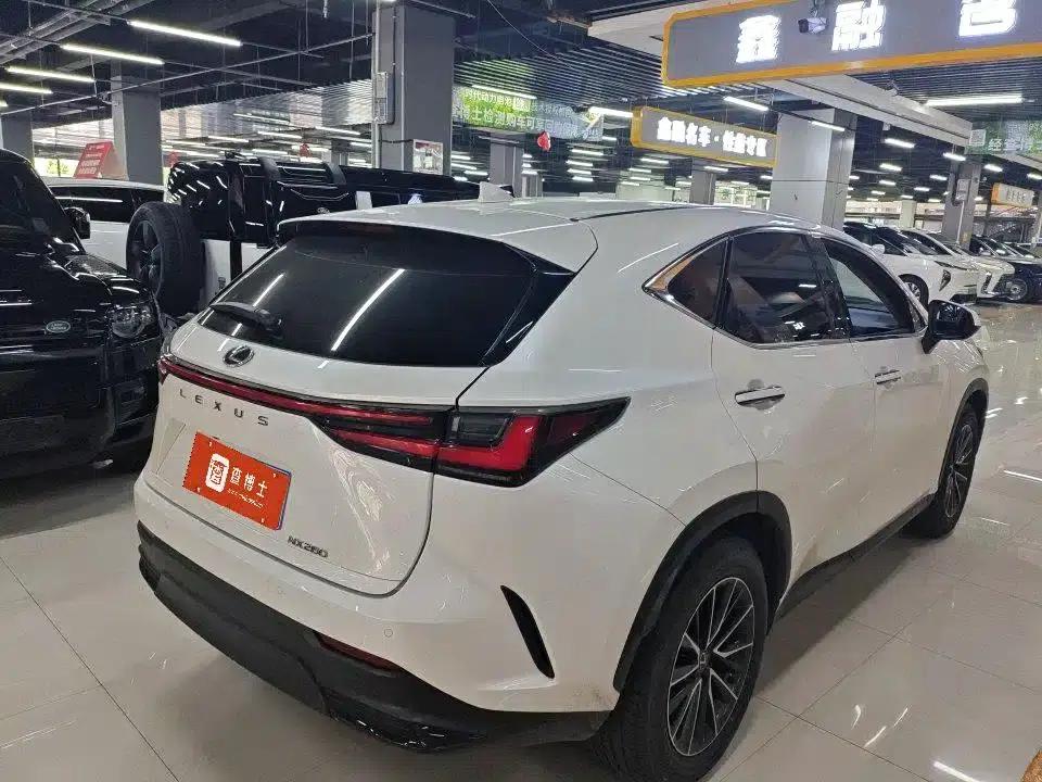 Lexus NX 2023 260 AWD Elite Edition — миниатюра 8