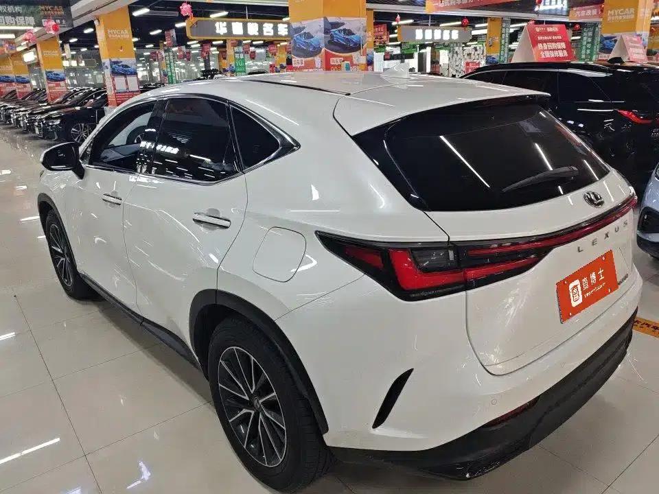 Lexus NX 2023 260 AWD Elite Edition — миниатюра 9