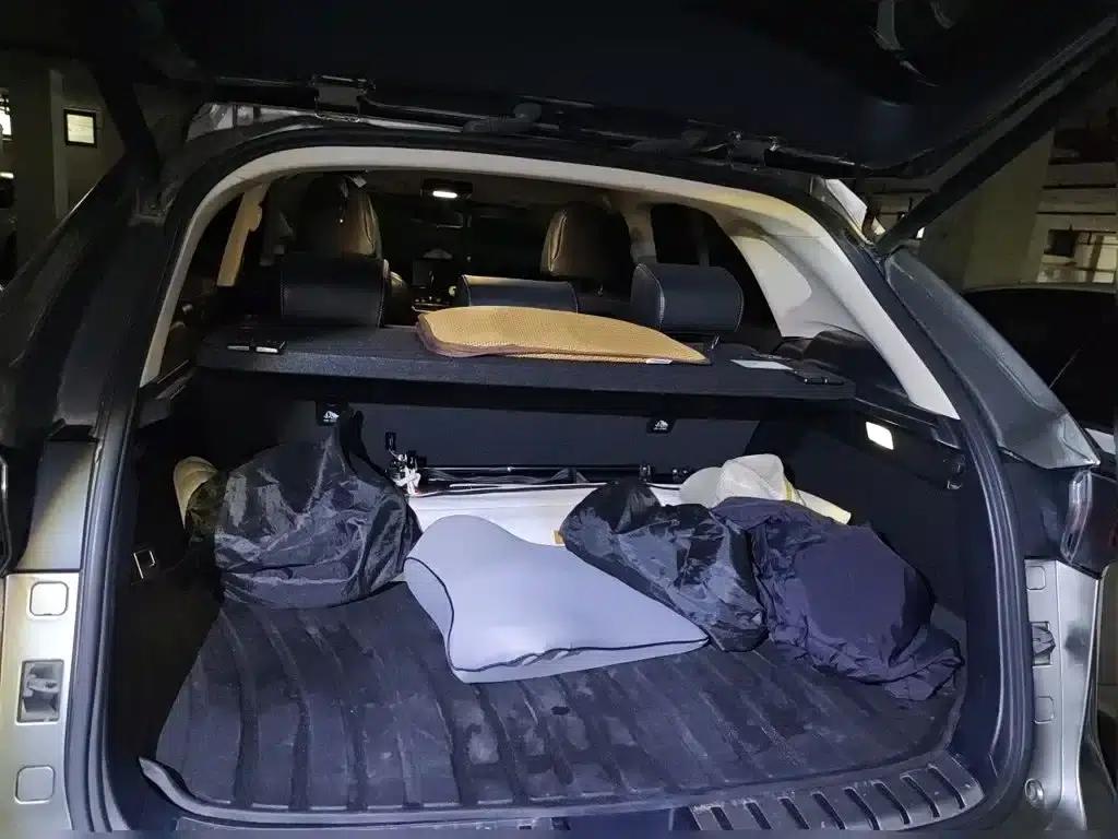 Lexus NX 2020 200 FWD Sport Edition (China V Emission Standard) — миниатюра 15
