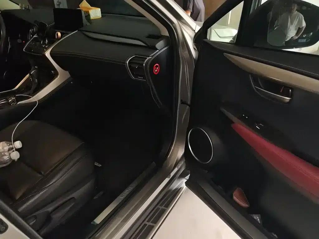 Lexus NX 2020 200 FWD Sport Edition (China V Emission Standard) — миниатюра 21
