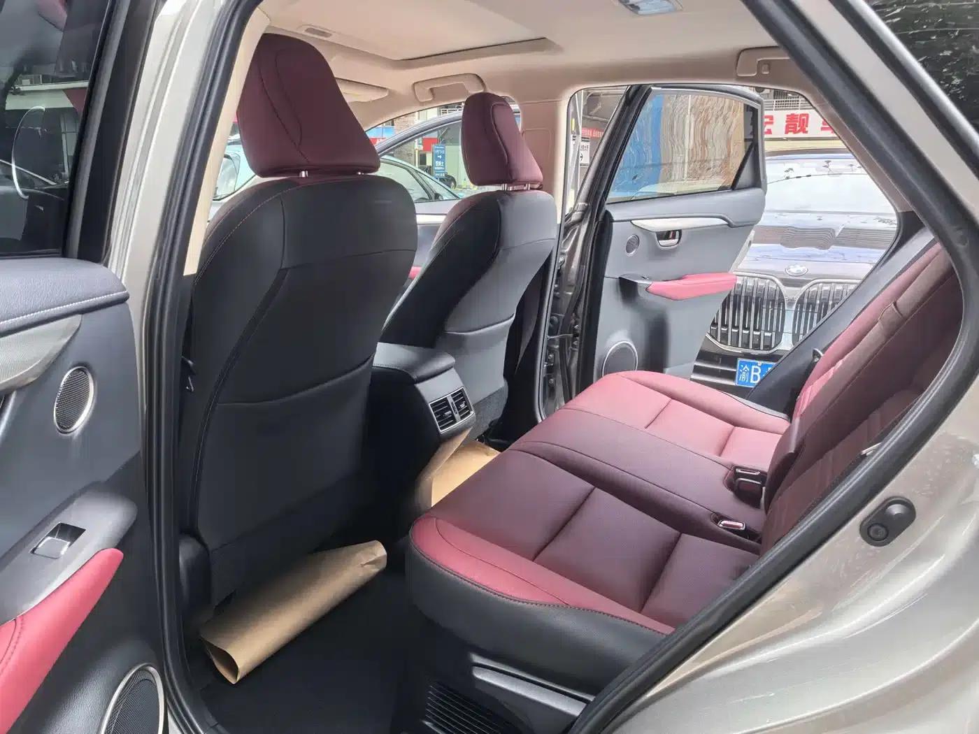 Lexus NX 2020 300h FWD Sport Edition (China VI Emission Standard) — миниатюра 10