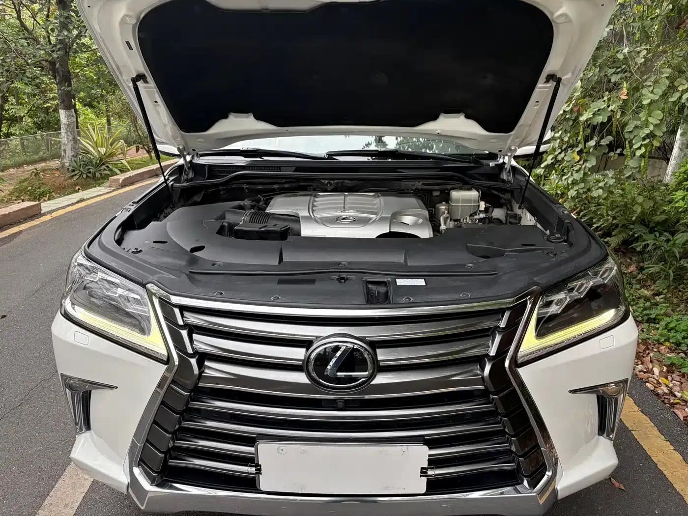 2016 Lexus LX 570 Premium Luxury Edition — миниатюра 25