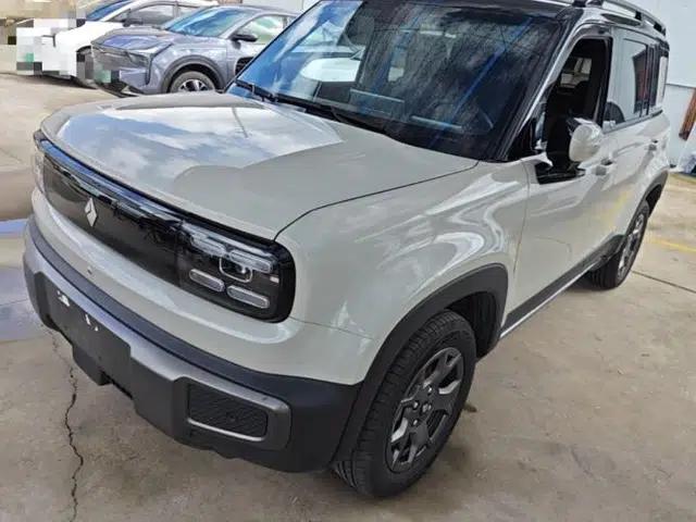Baojun Spark EUV 2026 301km Flagship Edition