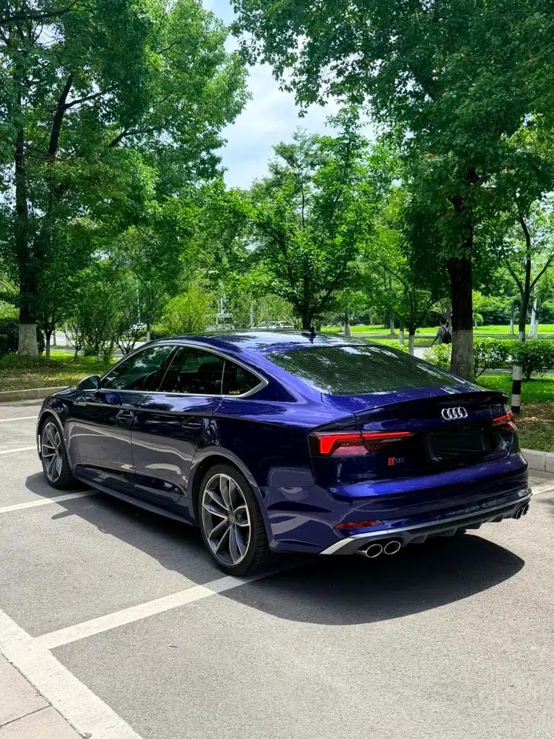 2017 Audi S5 3.0T Sportback — миниатюра 4