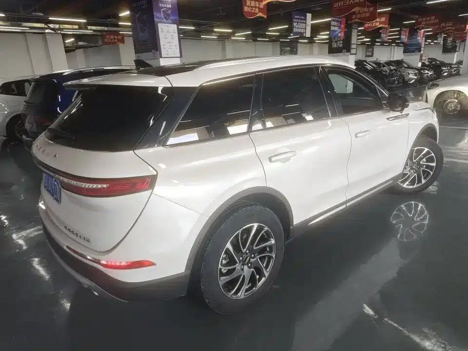 Adventurer 2022 2.0T 2WD Premium Edition — миниатюра 9