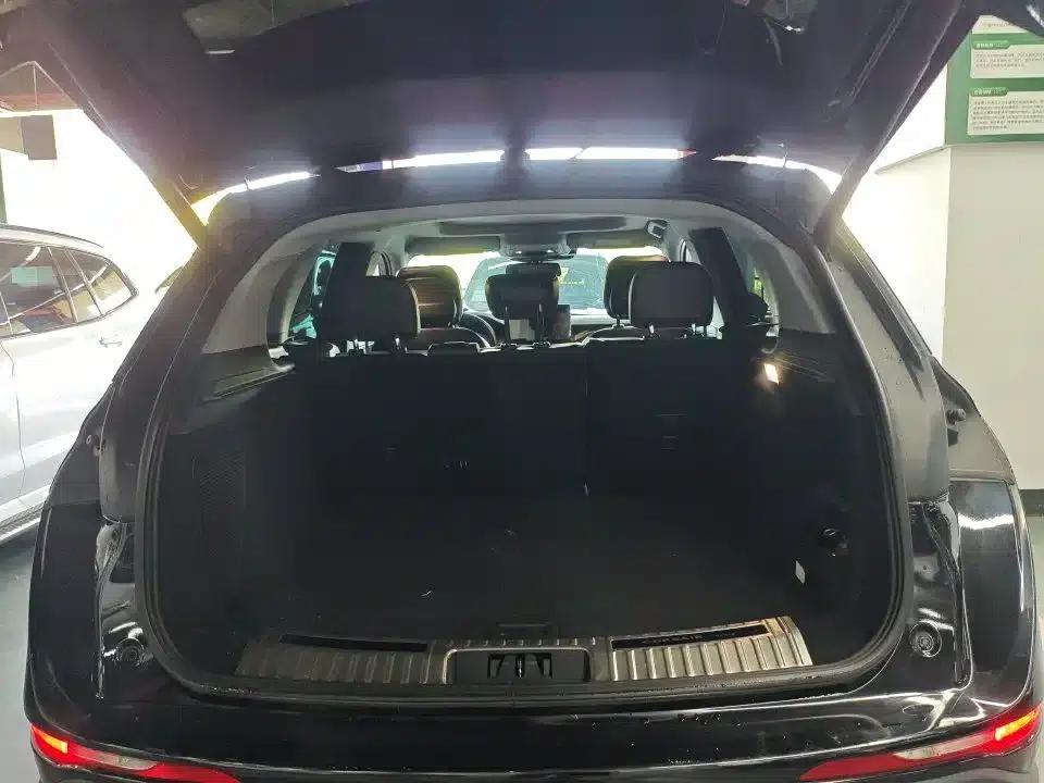Adventurer 2021 2.0T 2WD Premium Edition — миниатюра 8