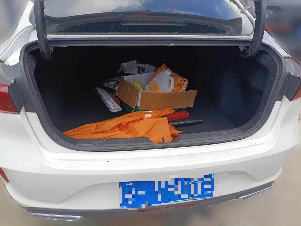 CHANGAN Eado 2021 PLUS Blue Whale NE 1.4T GDI DCT Prestige Model — миниатюра 19