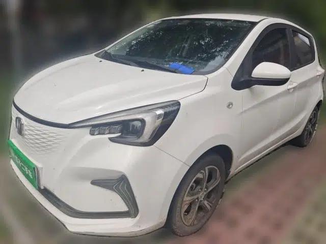 CHANGAN Benni E-Star 2020 Xinyue Edition Lithium-NMC