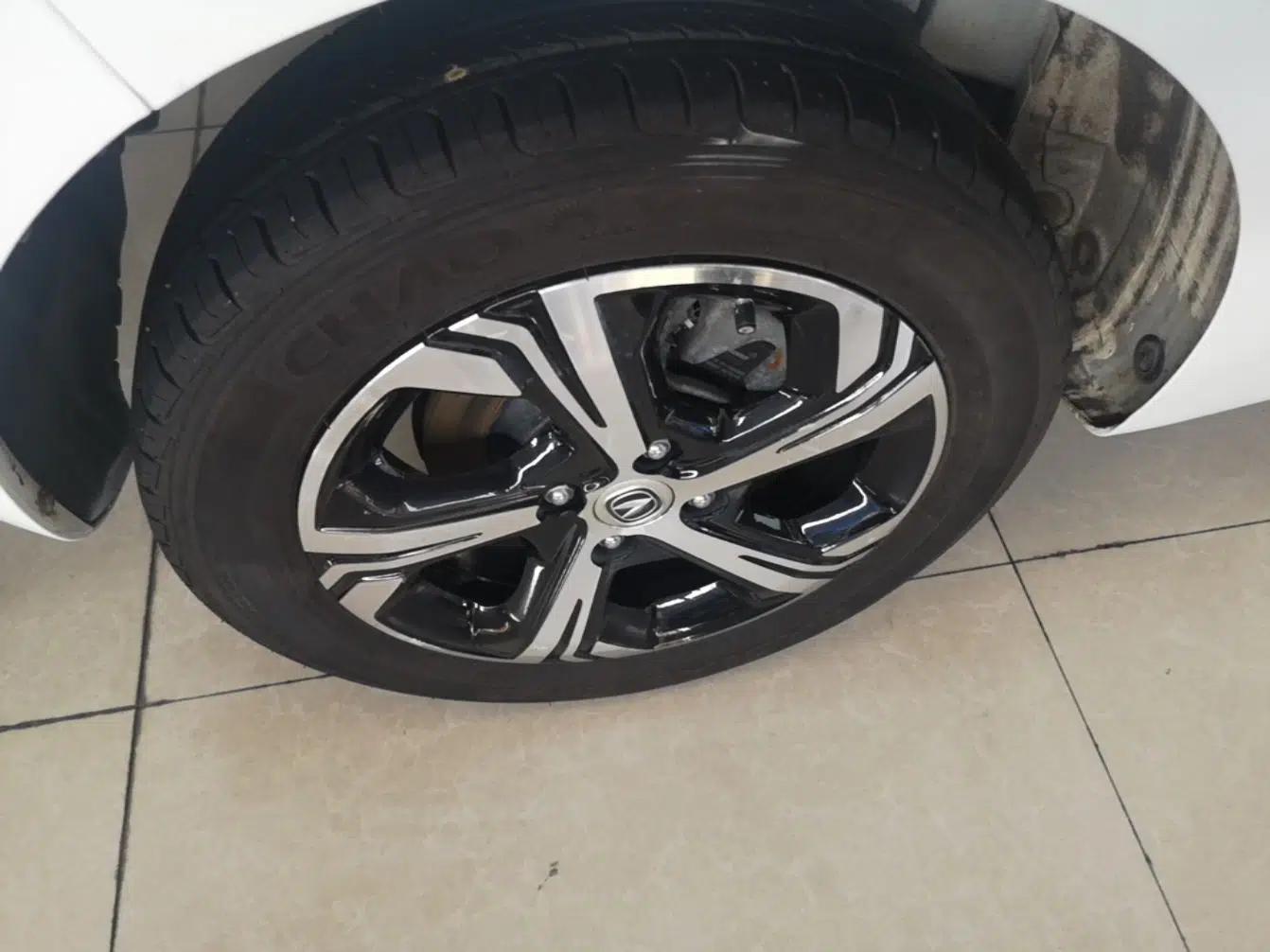 CHANGAN Benni E-Star 2020 Heartbeat Edition NMC Lithium — миниатюра 11