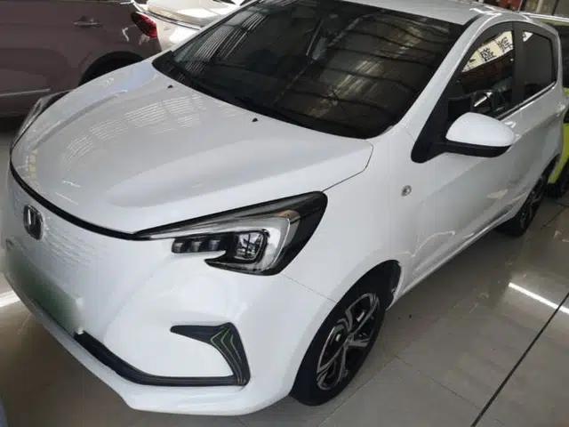 CHANGAN Benni E-Star 2020 Heartbeat Edition NMC Lithium
