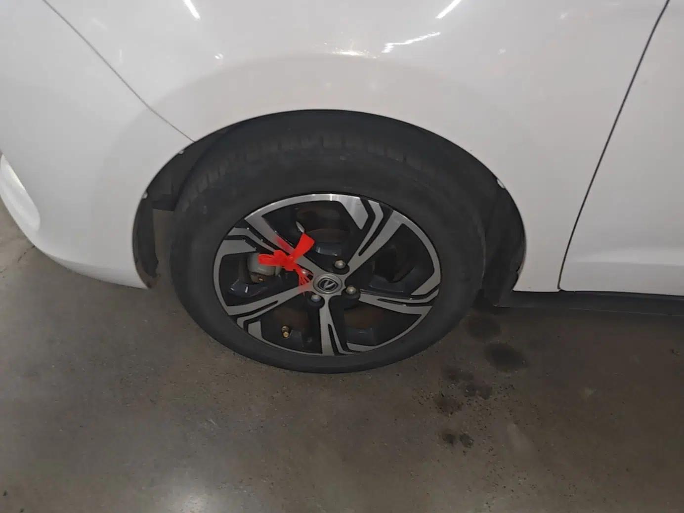 CHANGAN Benni E-Star 2022 Charming Edition Colorful Model Lithium Iron Phosphate — миниатюра 10