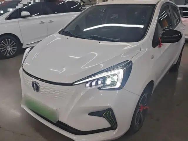 CHANGAN Benni E-Star 2022 Charming Edition Colorful Model Lithium Iron Phosphate