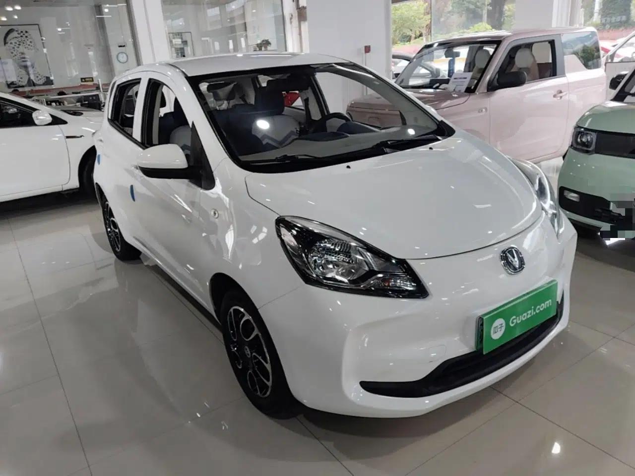 CHANGAN Benni E-Star 2021 National Edition Colorful Version Lithium Iron Phosphate (31.18 kWh) — миниатюра 3