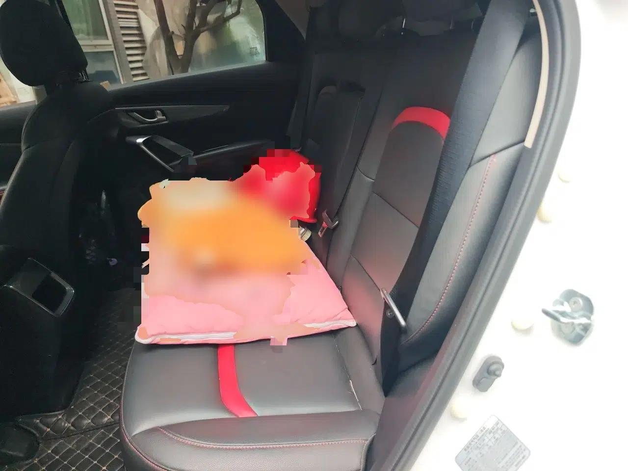 CHANGAN CS55 2017 1.5T Automatic Colorful Edition — миниатюра 17