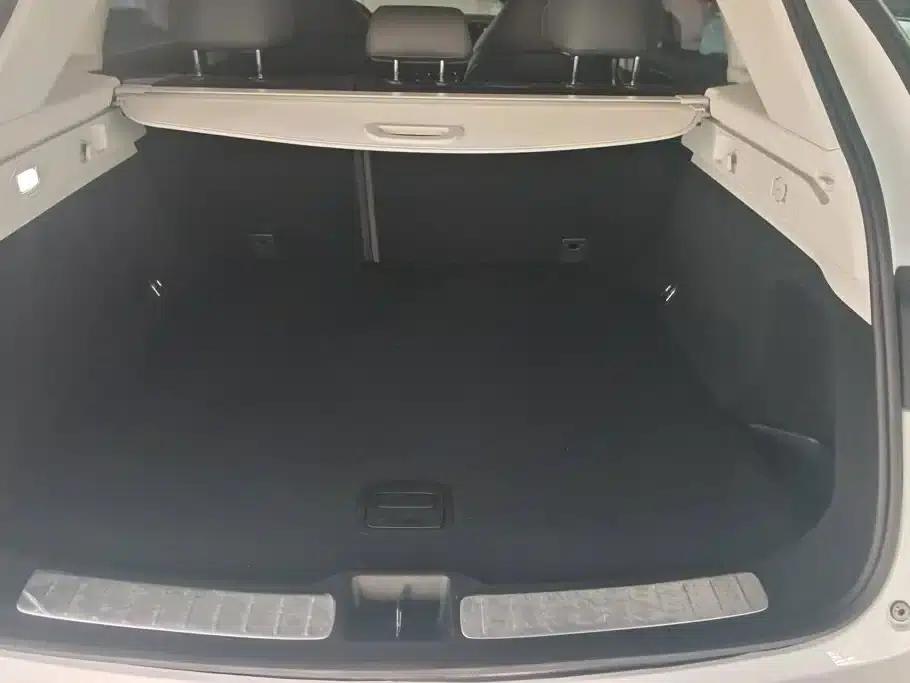 Leapmotor C11 2021 Luxury Edition — миниатюра 4