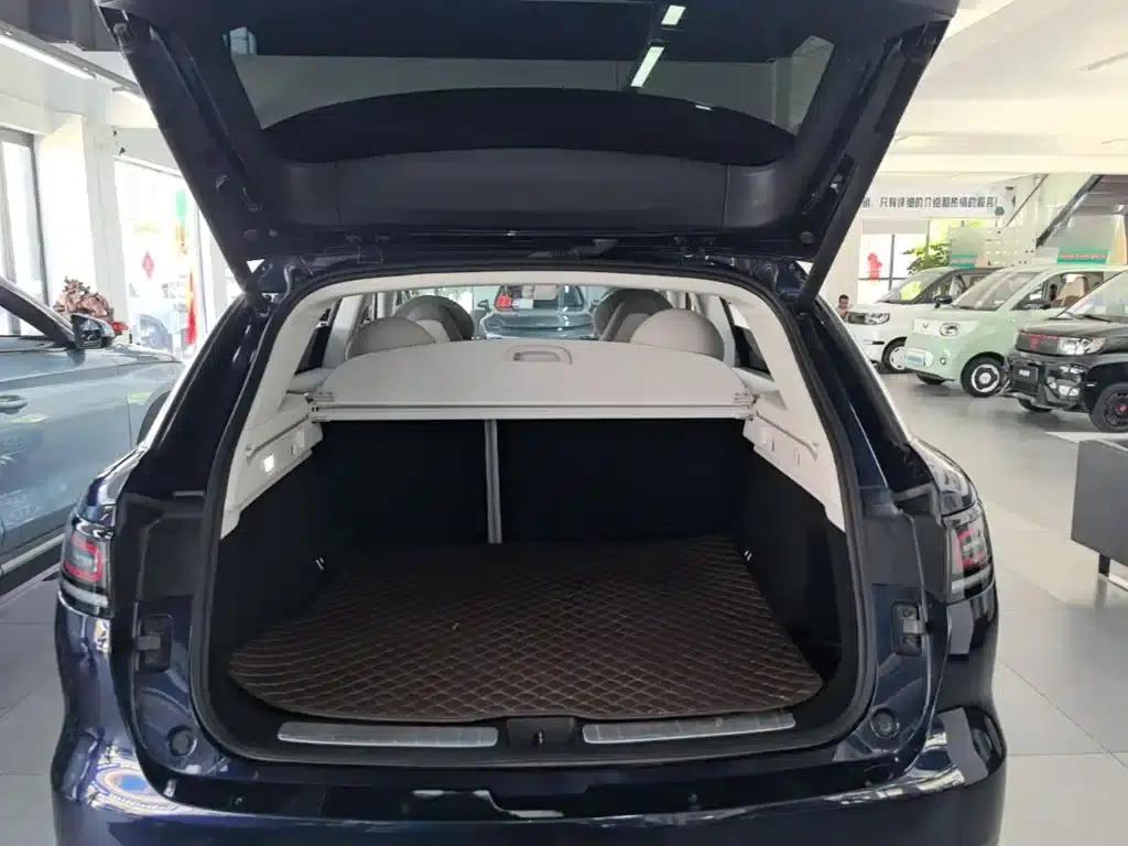 Leapmotor C11 2021 Executive Edition 610 — миниатюра 19