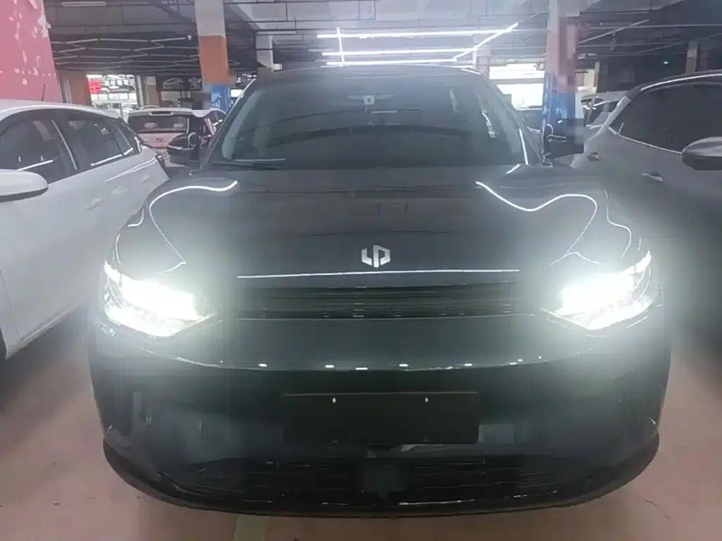 Leapmotor C11 2023 Pure Electric 500 Smart Edition — миниатюра 1