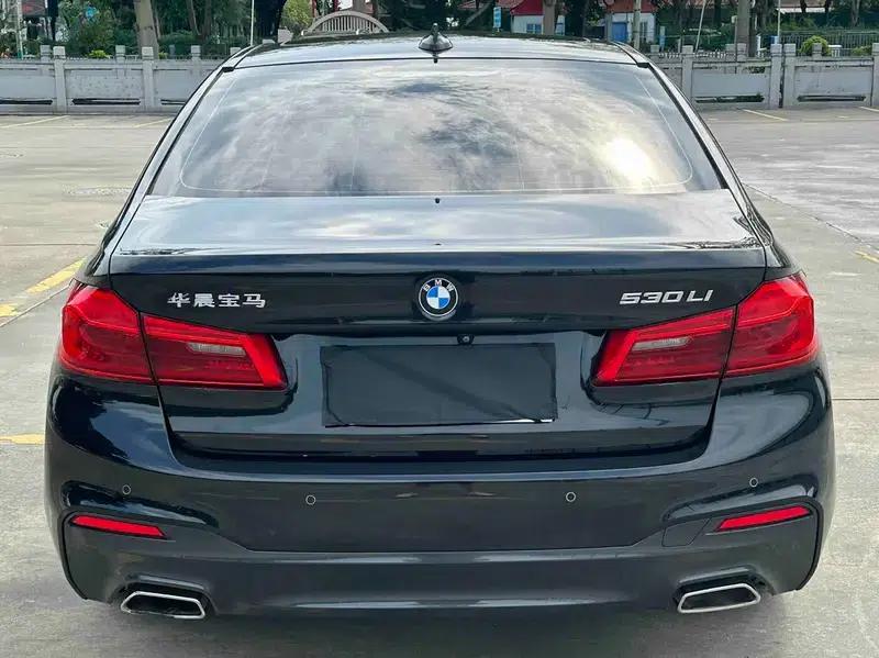 2020 BMW 5 Series 530Li Luxury M Sport Package — миниатюра 4