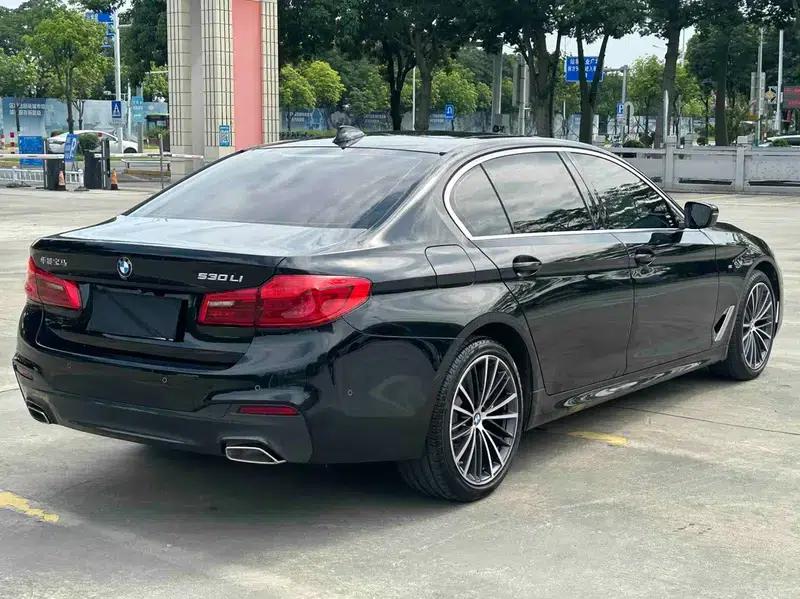 2020 BMW 5 Series 530Li Luxury M Sport Package — миниатюра 5