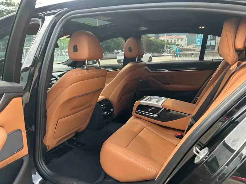 2020 BMW 5 Series 530Li Luxury M Sport Package — миниатюра 9