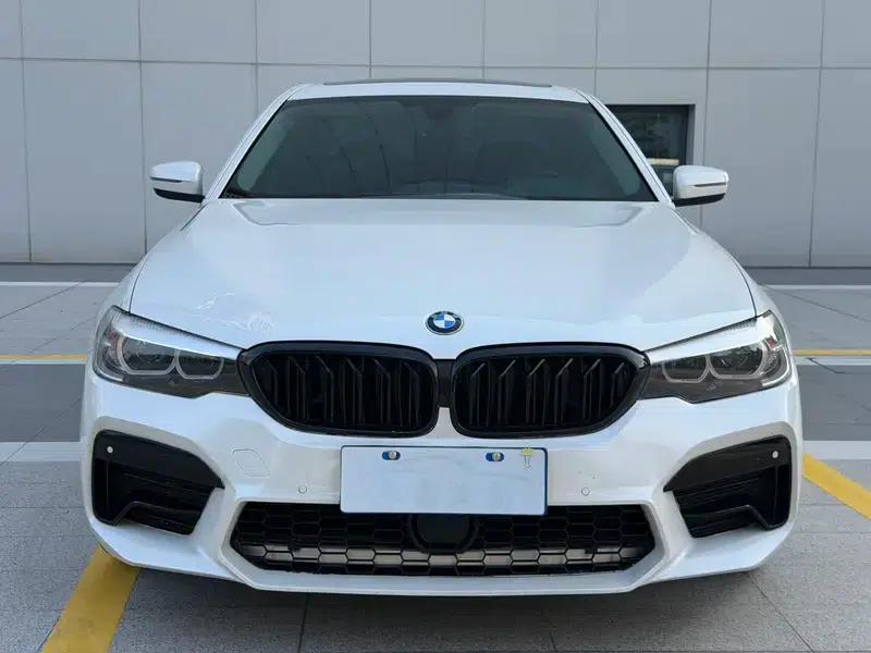 2019 BMW 5 Series Facelift 530Li Leading Edition M Sport Package — миниатюра 2