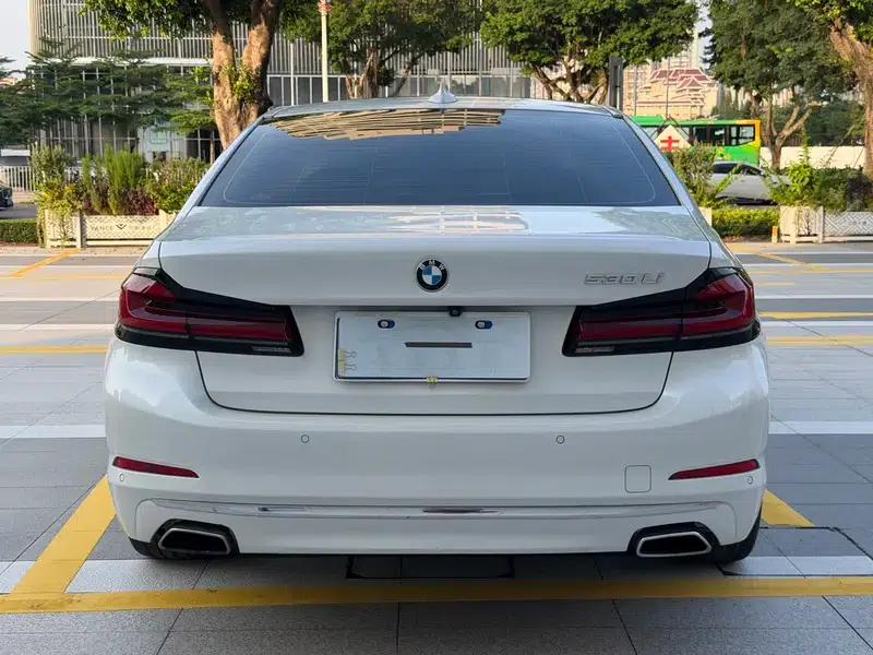 2019 BMW 5 Series Facelift 530Li Leading Edition M Sport Package — миниатюра 5