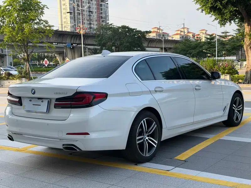 2019 BMW 5 Series Facelift 530Li Leading Edition M Sport Package — миниатюра 6