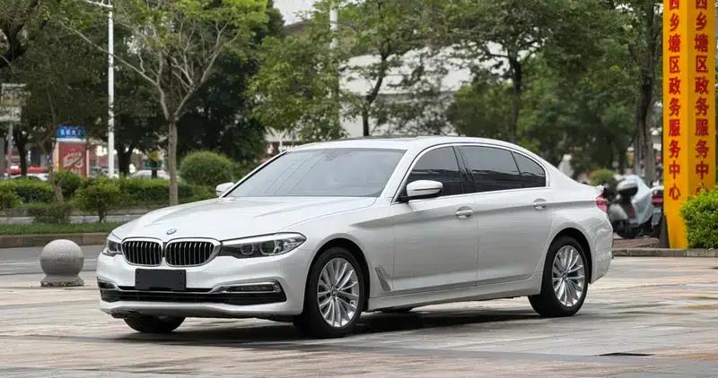 BMW 5 Series 2019 530Li Leading Luxury Package — миниатюра 1