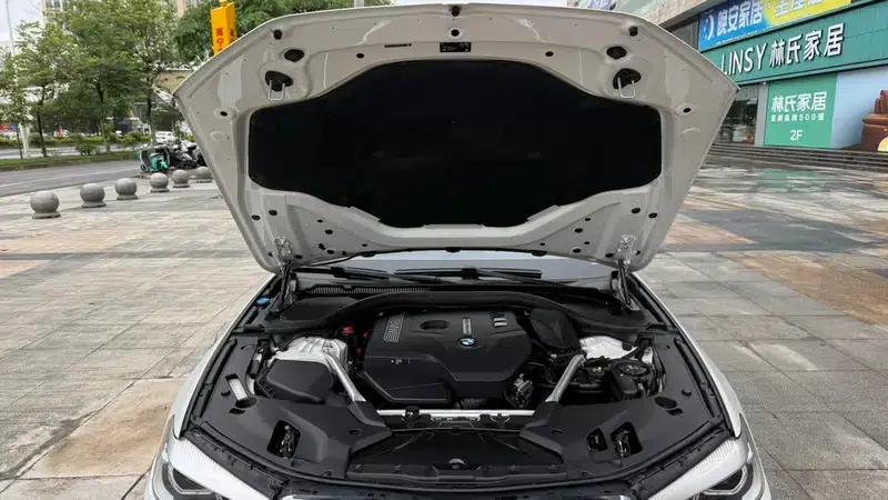 BMW 5 Series 2019 530Li Leading Luxury Package — миниатюра 9