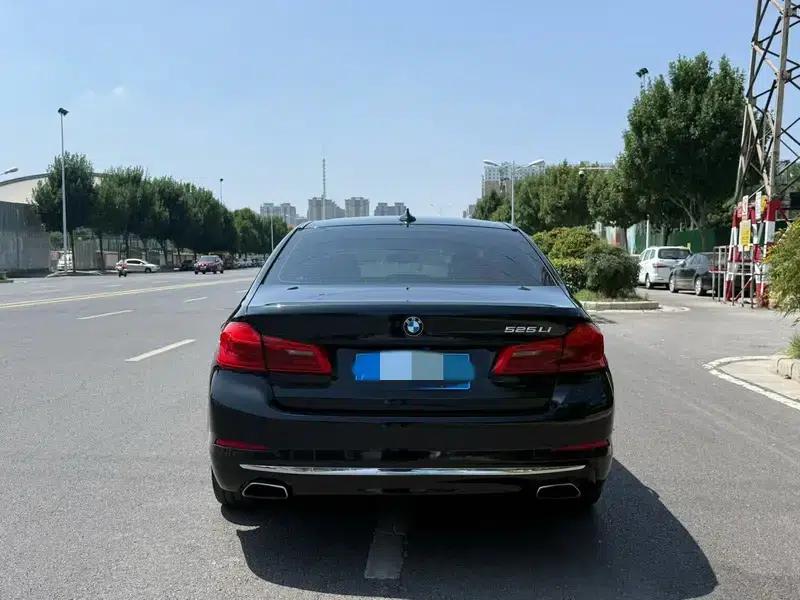 2019 BMW 5 Series 525Li Luxury Package — миниатюра 5