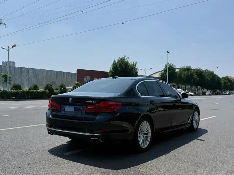2019 BMW 5 Series 525Li Luxury Package — миниатюра 6