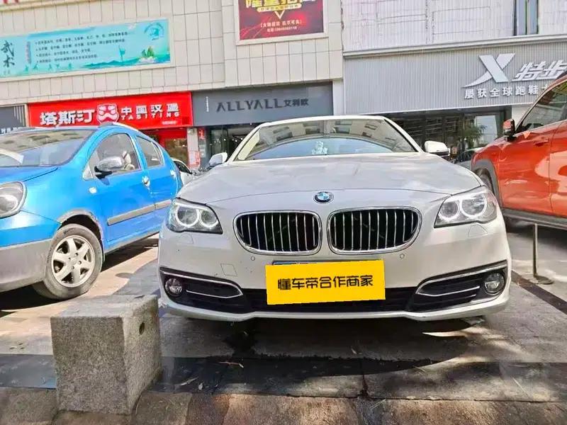 2017 BMW 5 Series 525Li Luxury Design Package — миниатюра 2