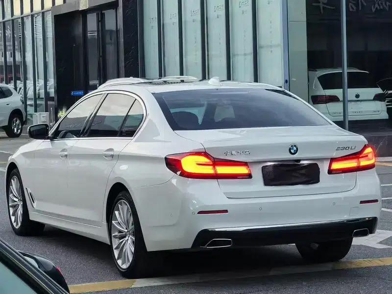 BMW 5 Series 2021 530Li Luxury Package — миниатюра 4