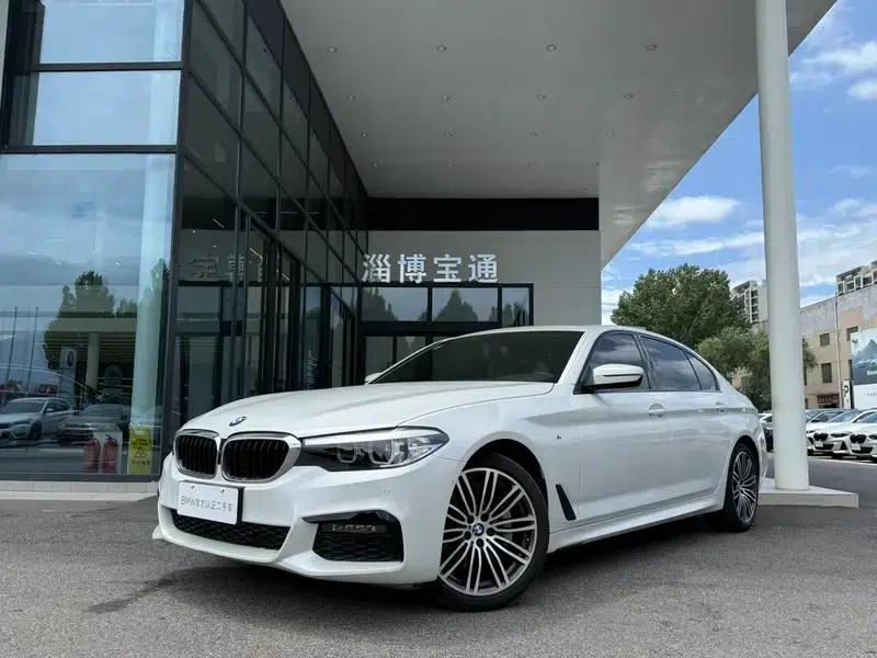 2019 BMW 5 Series 530Li Leading Edition M Sport Package — миниатюра 1