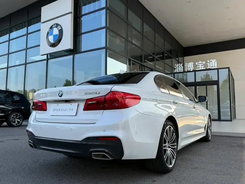 2019 BMW 5 Series 530Li Leading Edition M Sport Package — миниатюра 5