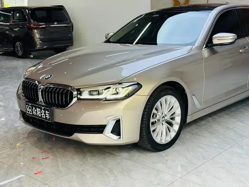 2021 BMW 5 Series 525Li Luxury Package — миниатюра 8