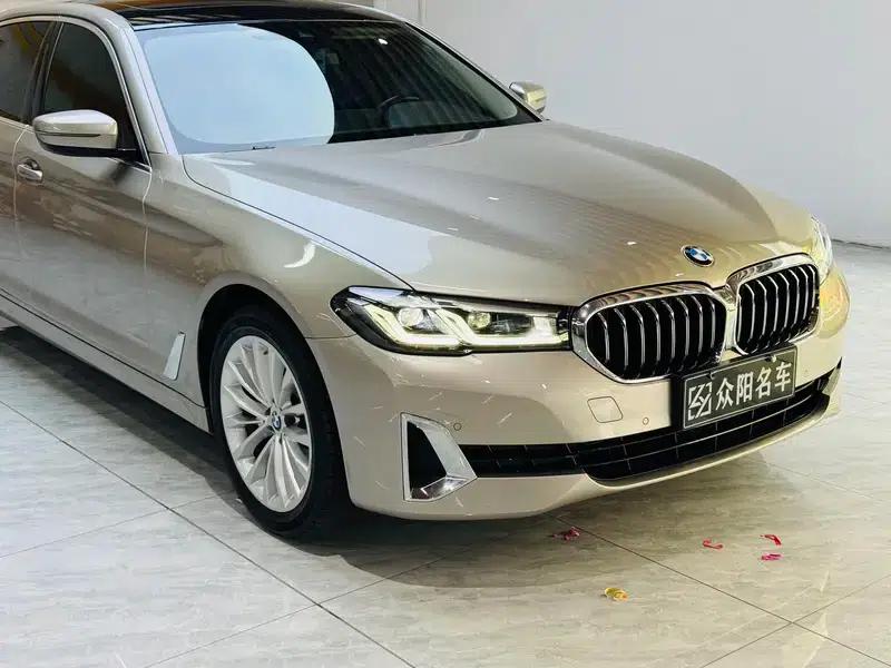 2021 BMW 5 Series 525Li Luxury Package — миниатюра 9
