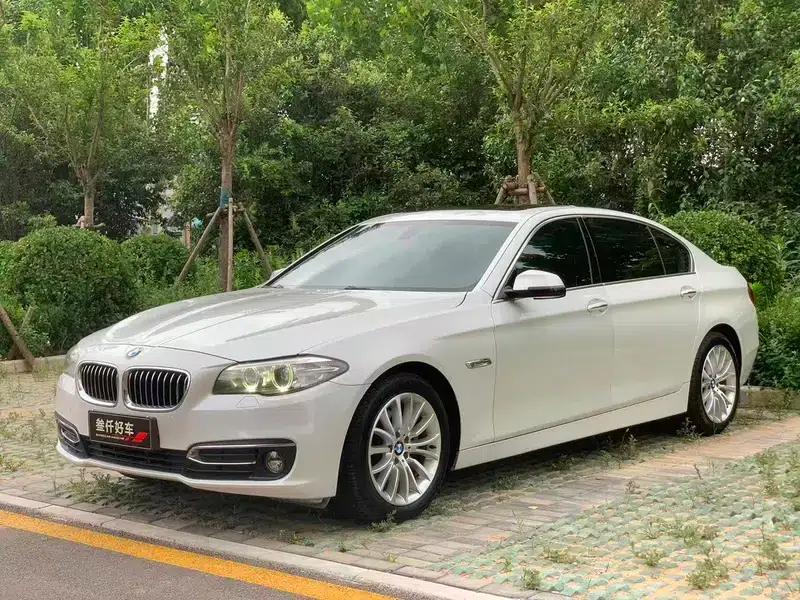 2014 BMW 5 Series 525Li Luxury Design Package — миниатюра 1