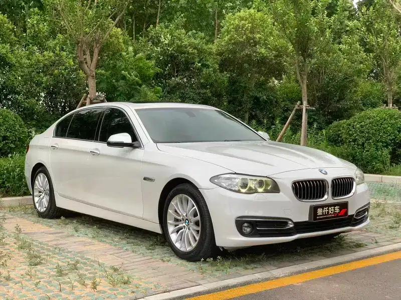 2014 BMW 5 Series 525Li Luxury Design Package — миниатюра 3