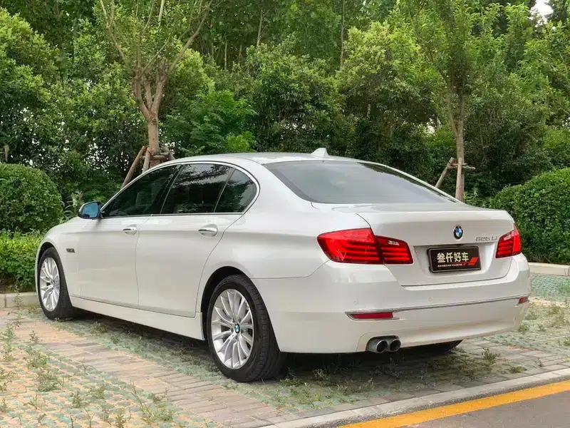 2014 BMW 5 Series 525Li Luxury Design Package — миниатюра 4