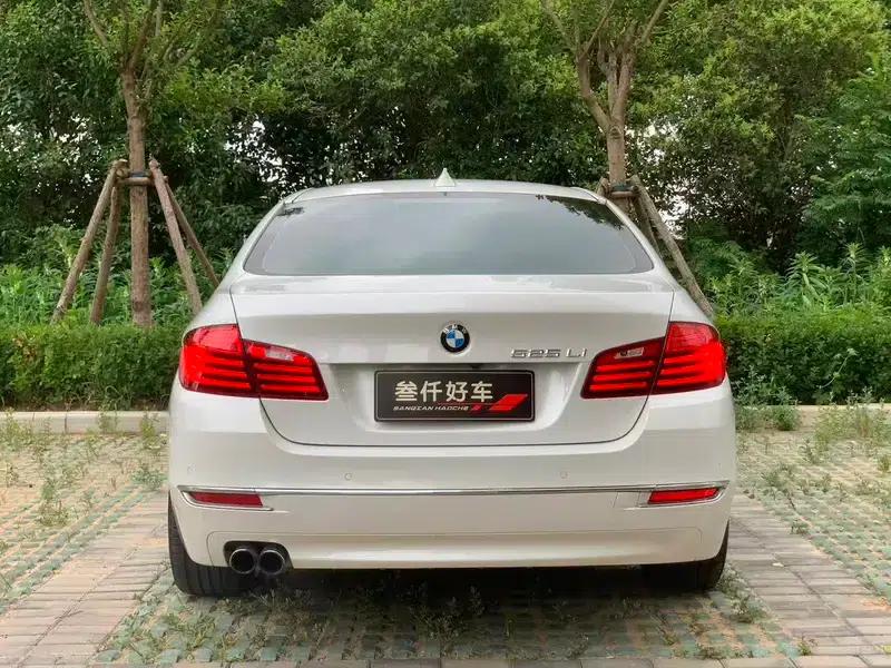 2014 BMW 5 Series 525Li Luxury Design Package — миниатюра 5