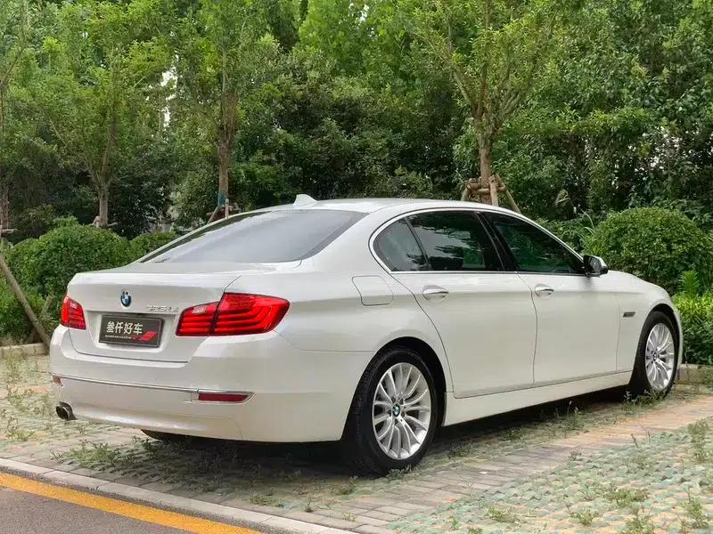 2014 BMW 5 Series 525Li Luxury Design Package — миниатюра 6