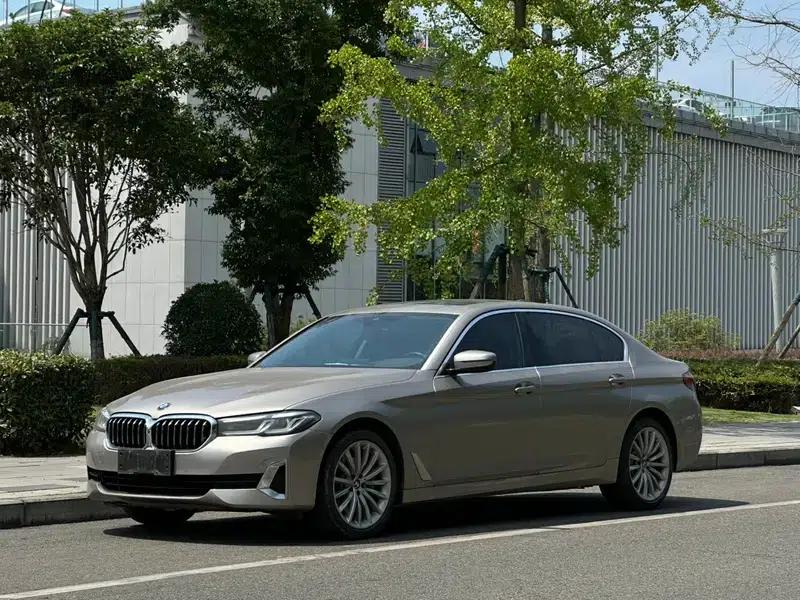 BMW 5 Series 2021 530Li Luxury Package — миниатюра 1