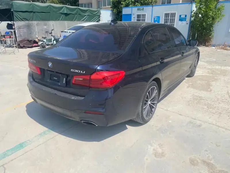 2019 BMW 5 Series Facelift 530Li xDrive M Sport Package — миниатюра 6