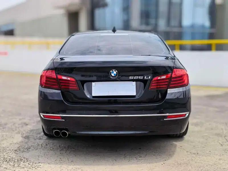 2014 BMW 5 Series 525Li Luxury Design Package — миниатюра 6